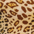 Jad Animal Print