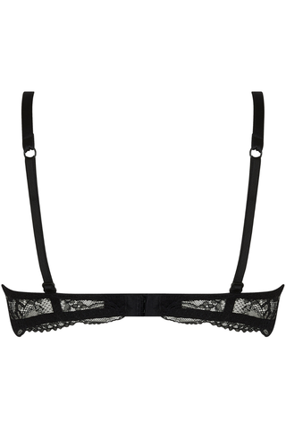 Iconic Lise Charmel Soir de Venise black lace vertical seam half cup bra - back detail