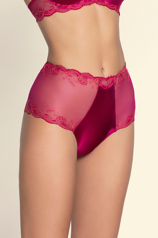 Lise Charmel Raspberry High Waist Brief Splendeur Soie