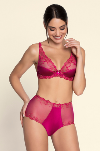 Lise Charmel Raspberry High Waist Brief Splendeur Soie