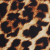Safari Leopard