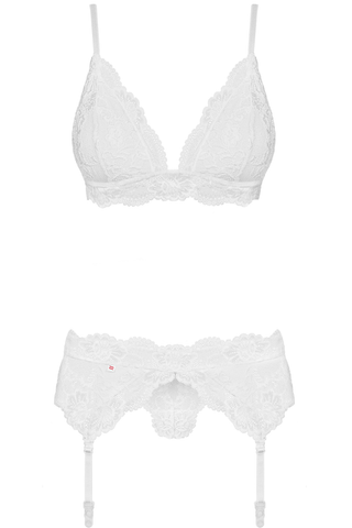 Obsessive Bra, Thong & Garter Belt, 810-SEG-1