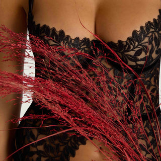 COCO DE MER LINGERIE 