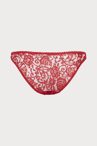 Kateryna Brief