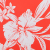 aloha flame