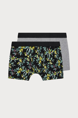 Homme Men's Cotton Modal Olives Duo Pack Boxers