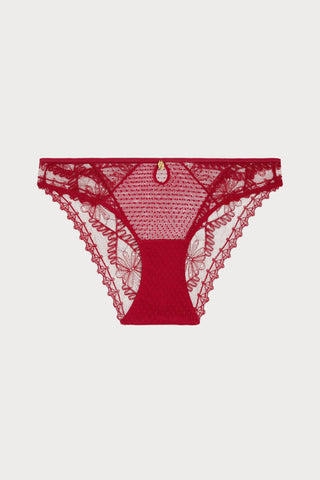 Mystery of Love Cherry Lace Italian Brief