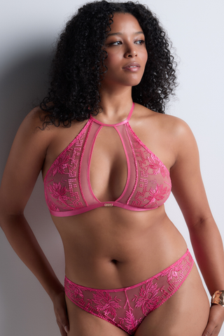 Aubade Pink Italian Brief - Rules of Attraction | Luxury French Knickers