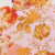 daisyfield coral