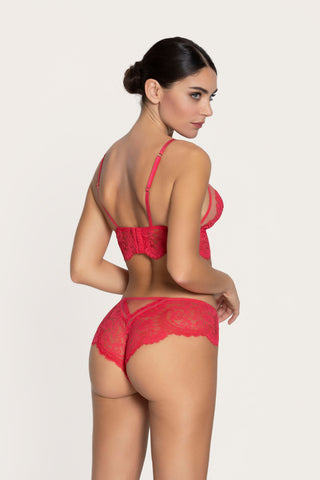 Lise Charmel Désirs de Venise Lace Shorty Grenat