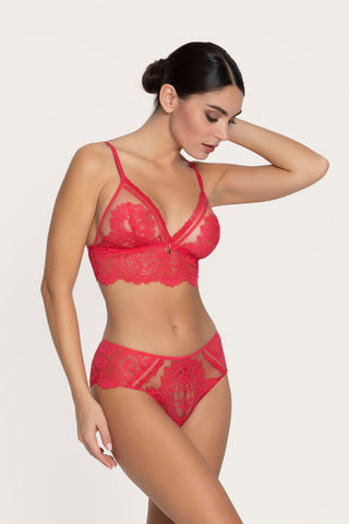 Lise Charmel Désirs de Venise Lace Shorty Grenat