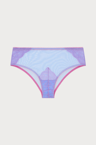 Eira Lace And Tulle High Waist Knicker