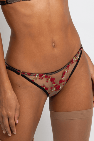 Edge o' Beyond Charlotte en Rouge Brilliant Brief