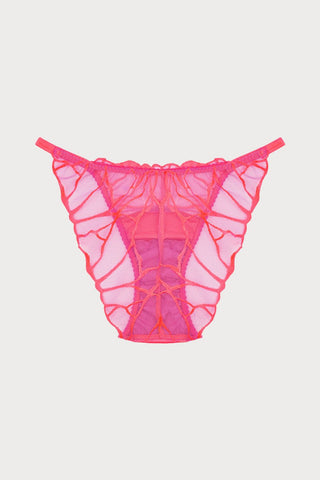 Cleo Coral Brief