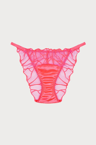 Cleo Coral Brief