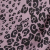 Kaylee Animal Print