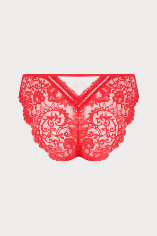 Lise Charmel Red Lace Italian Brief | Désirs de Venise Lingerie - back