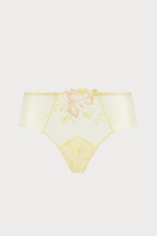 Frisson D'or Shorty