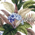 lost paradise white