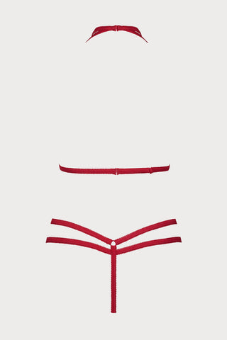 Le Petit Secret Red Harness & Thong