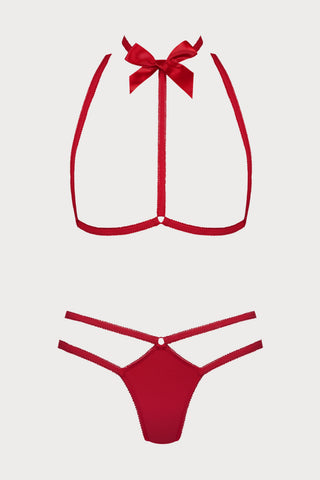 Le Petit Secret Red Harness & Thong