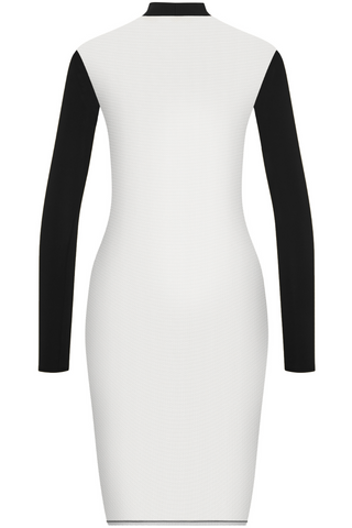 Maison Close Pure Tentation Black Sheer Back Long Sleeve Dress