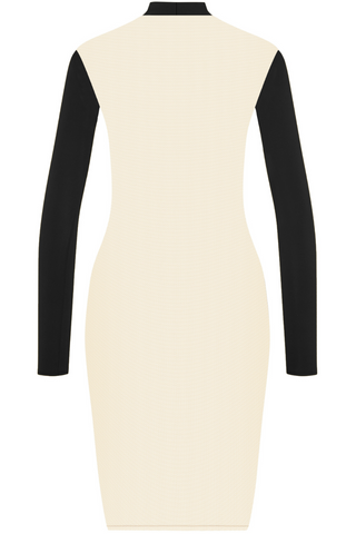 Maison Close Pure Tentation Black & Nude Sheer Back Long Sleeve Dress