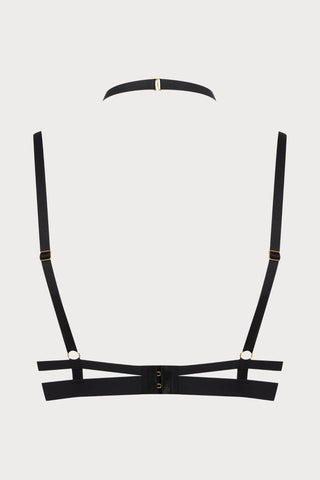 Maison Close Tapage Nocturne Push Up Bra - Naughty Knickers
