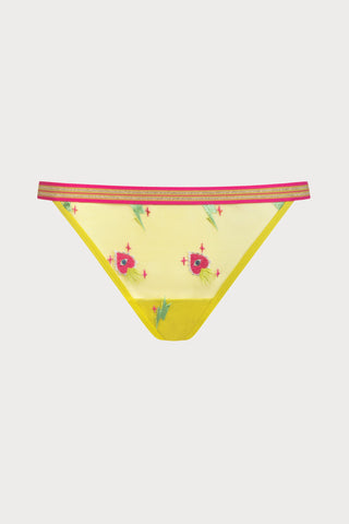 Poetry Flash Thong