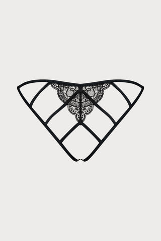 Miamor Open Brief