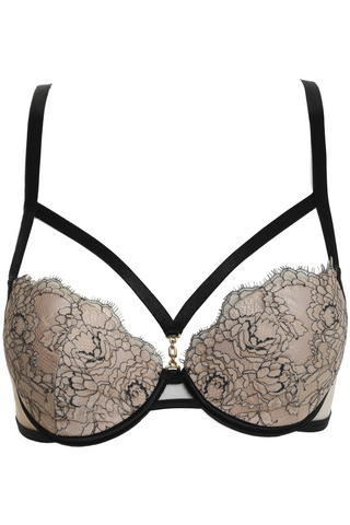 Prelude You Want It Darker Underwired Push Up Bra Black