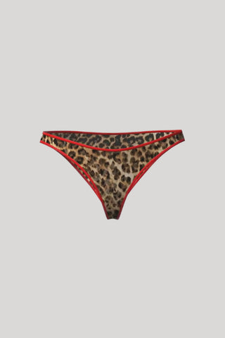 Scandale Sauvage Brief Leopard
