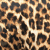 Sauvage Leopard
