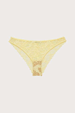 Gina Brazilian Brief, Size M (UK 10-12)